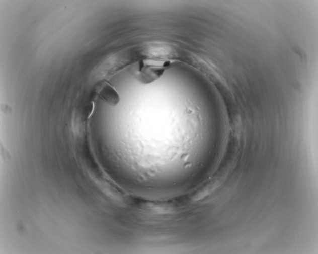 X0000091240763200708091435