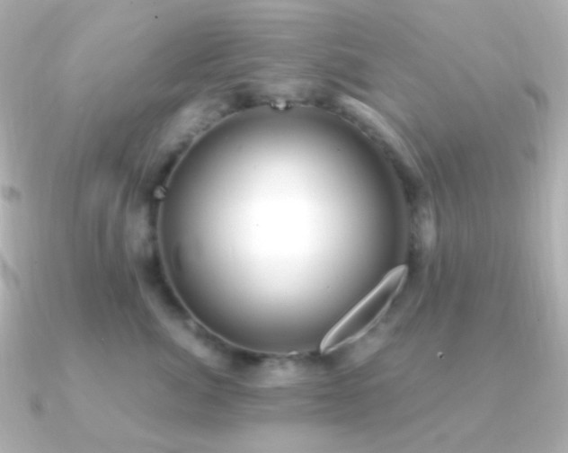 X0000091240764200708091435