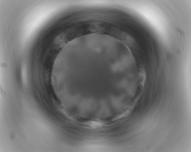 X0000091240765200708091435