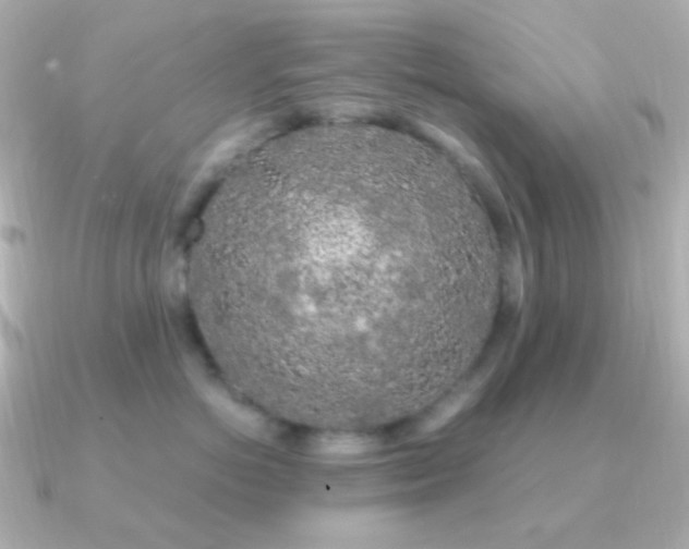 X0000091240766200708091435