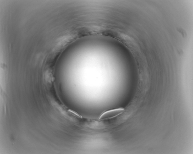 X0000091240768200708091435