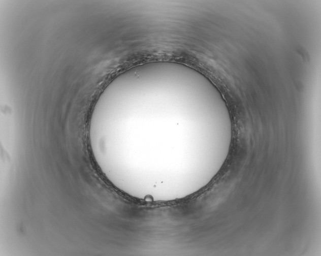 X0000091240769200708091435