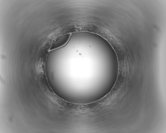 X0000091240770200708091435