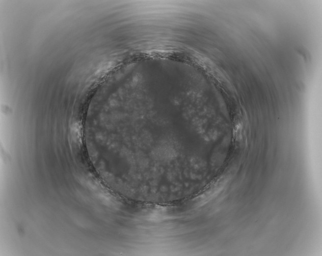 X0000091240772200708091435