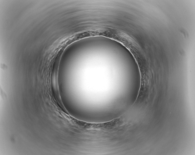 X0000091240773200708091435