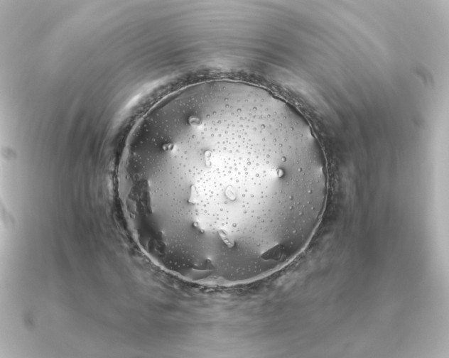 X0000091240776200708091435