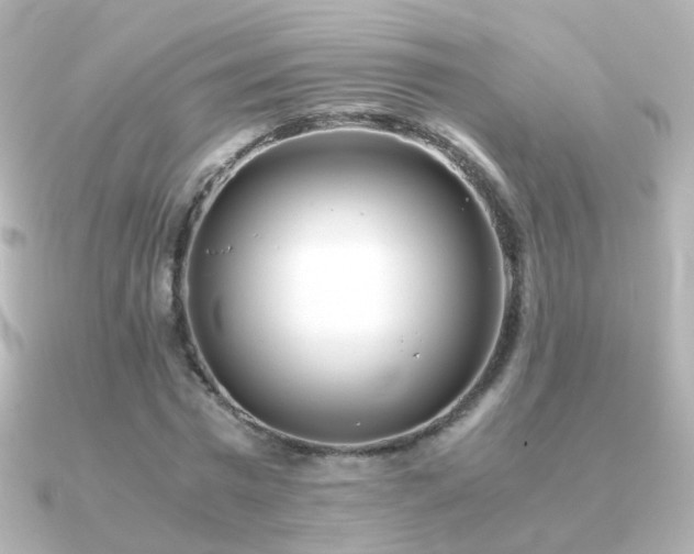 X0000091240777200708091435