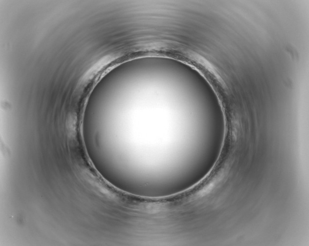 X0000091240778200708091435