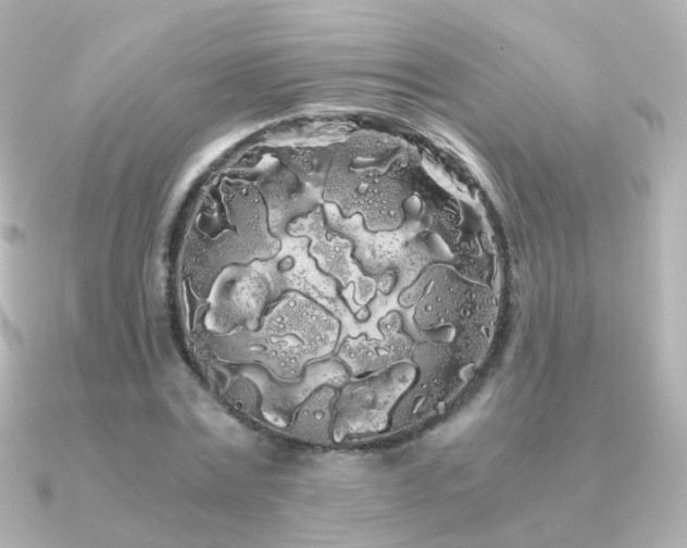 X0000091240779200708091435
