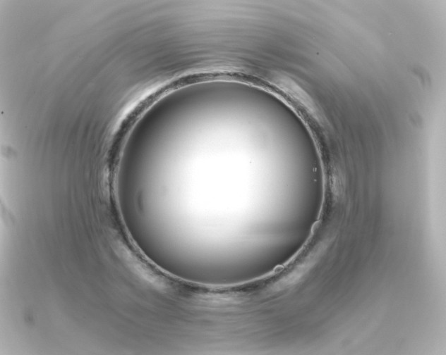 X0000091240781200708091435