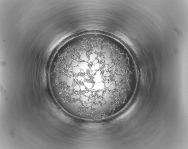 X0000091240782200708091434