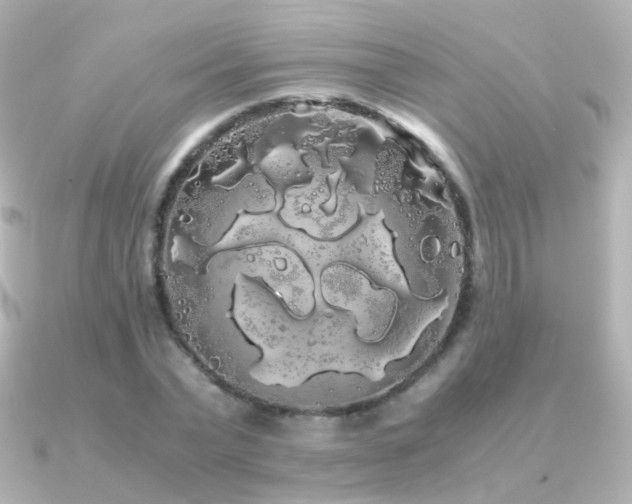 X0000091240783200708091434