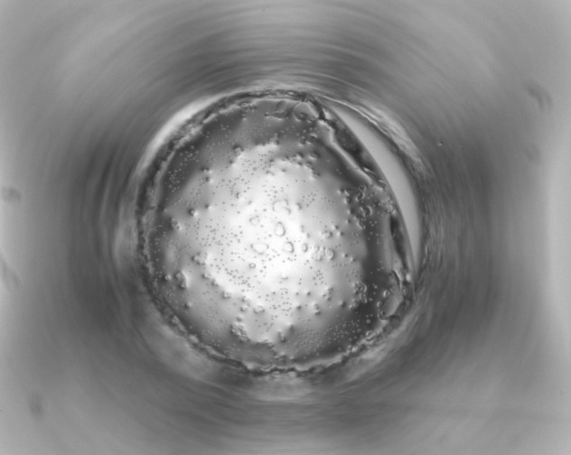X0000091240784200708091434