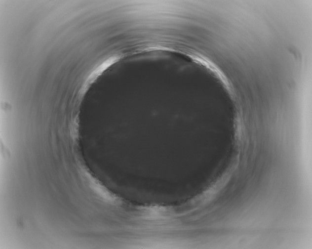 X0000091240785200708091434