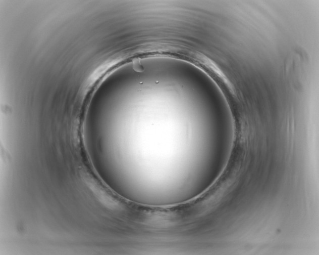 X0000091240786200708091434