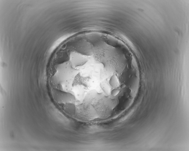 X0000091240787200708091434