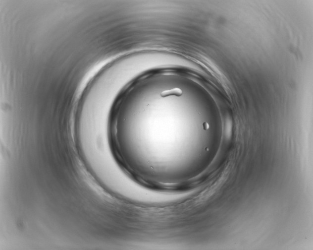 X0000091240788200708091434