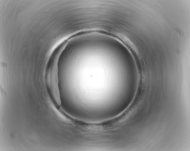X0000091240789200708091434