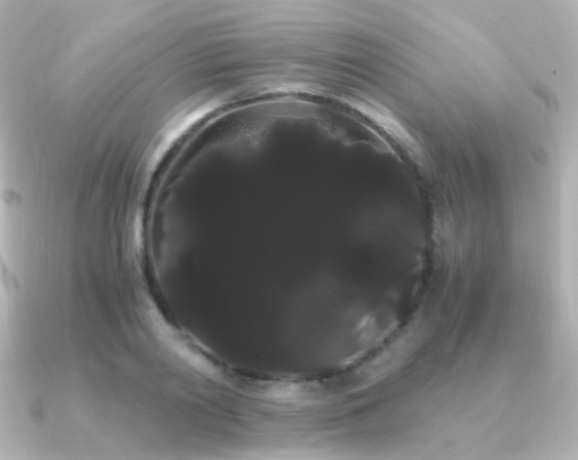 X0000091240790200708091434