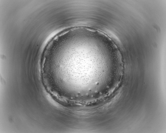 X0000091240792200708091434