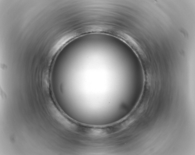 X0000091240794200708091434