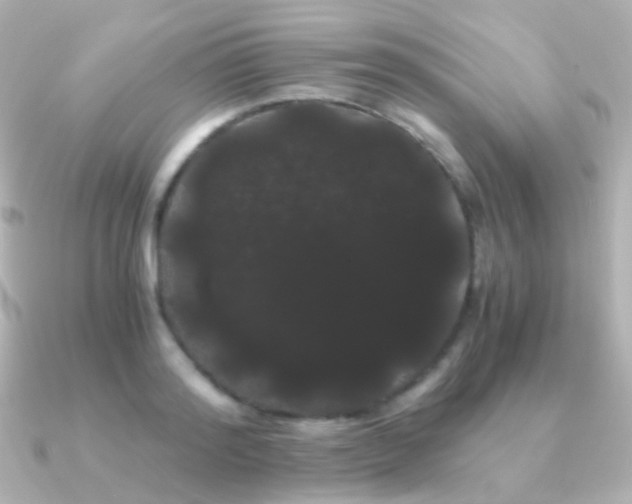 X0000091240796200708091434
