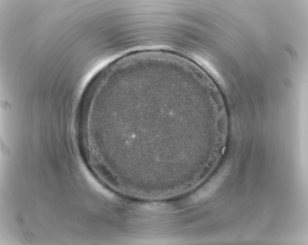 X0000091240797200708091434