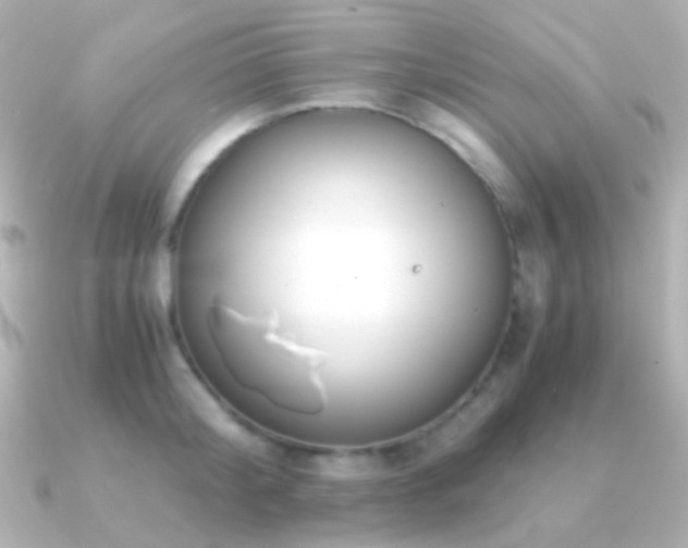 X0000091240804200708091434