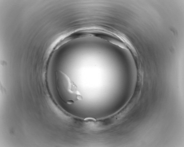 X0000091240805200708091434
