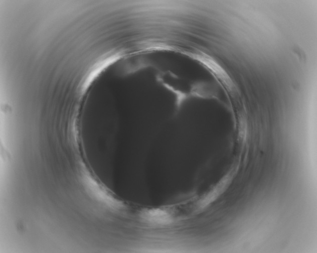 X0000091240806200708091434
