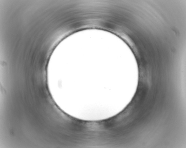 X0000091240807200708091434