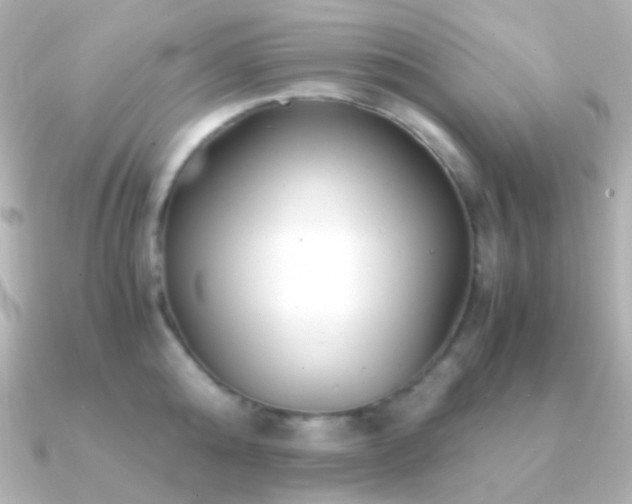 X0000091240808200708091434