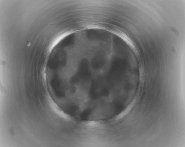 X0000091240814200708091434