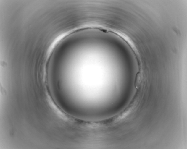 X0000091240815200708091434