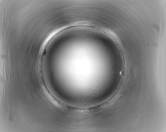 X0000091240816200708091434