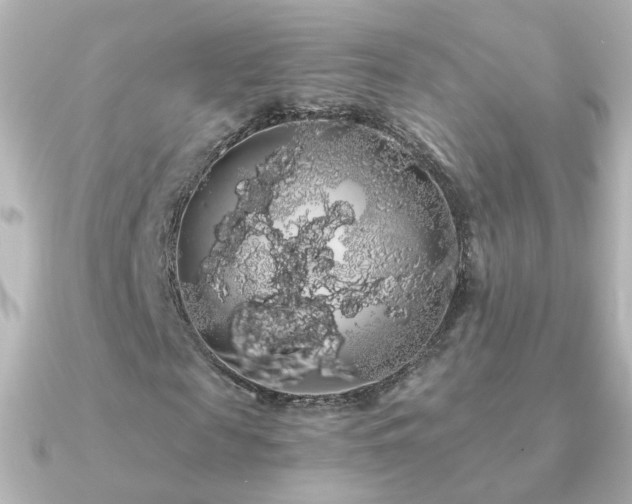 X0000091240817200708091434