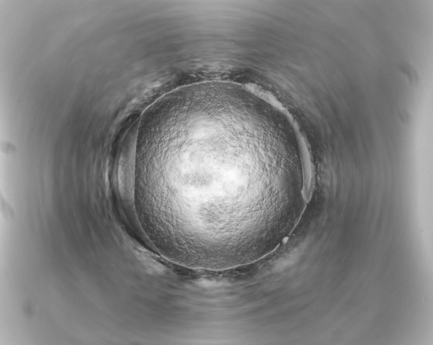 X0000091240818200708091434