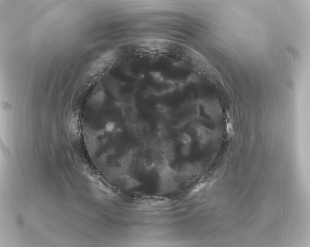 X0000091240819200708091434