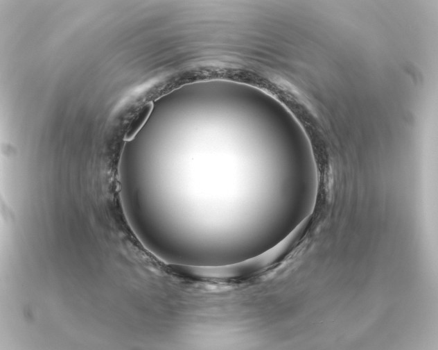 X0000091240822200708091434