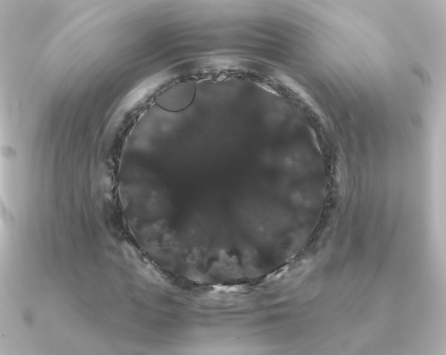 X0000091240823200708091434