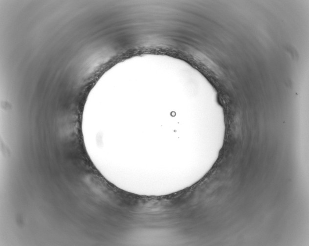 X0000091240824200708091434