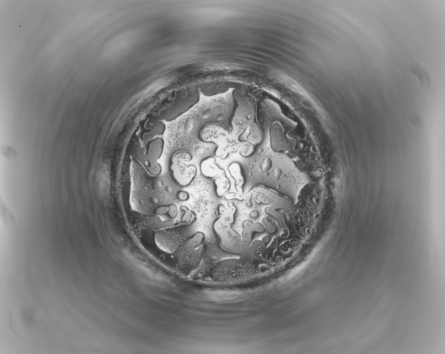 X0000091240825200708091434