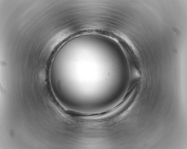 X0000091240826200708091434