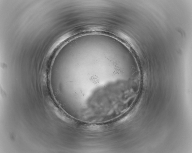 X0000091240827200708091434