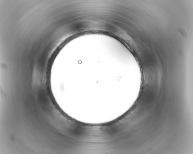 X0000091240828200708091434