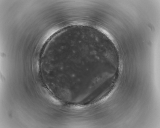 X0000091240829200708091434