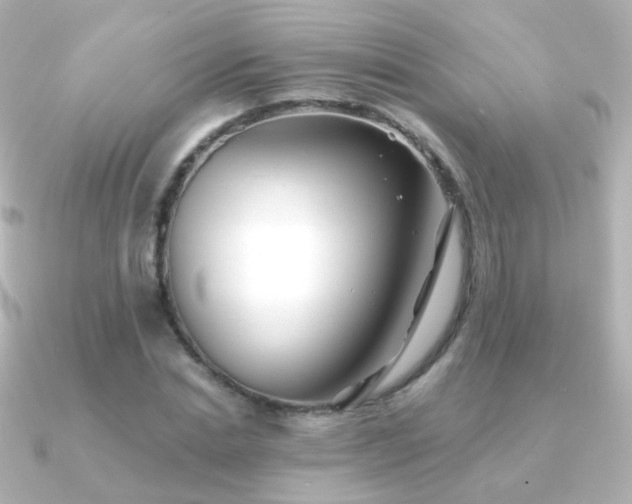X0000091240830200708091434