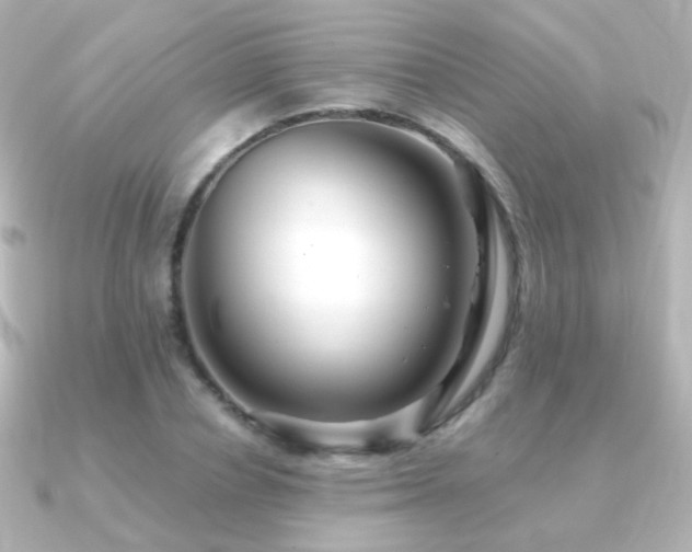 X0000091240834200708091434