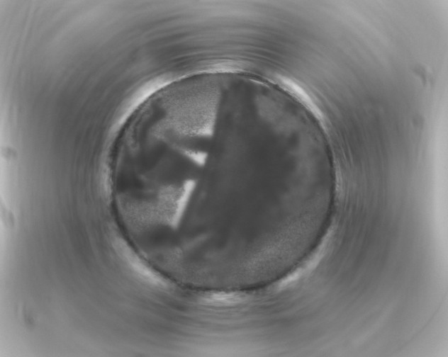 X0000091240835200708091434