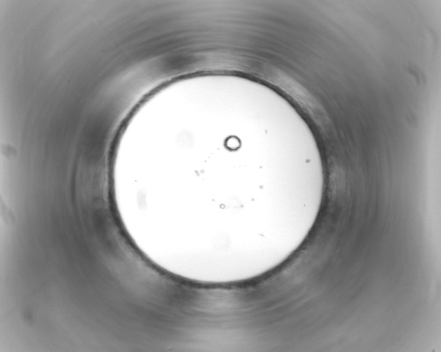 X0000091240836200708091434